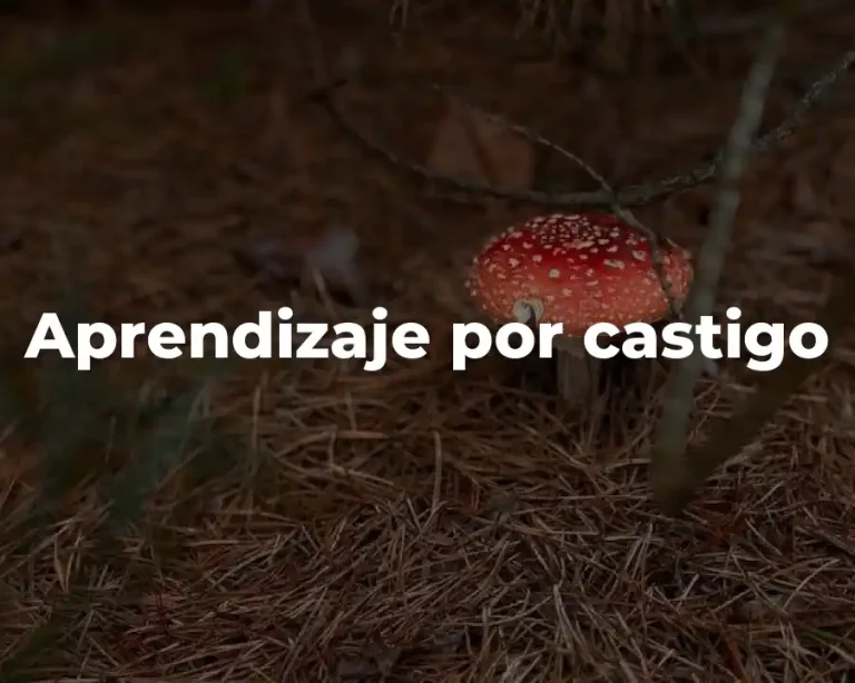 Aprendizaje por castigo