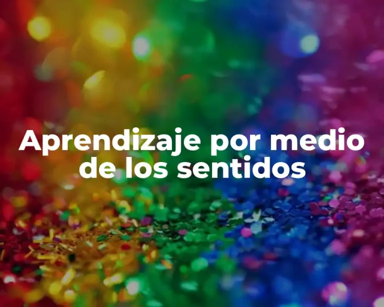 Aprendizaje por medio de los sentidos