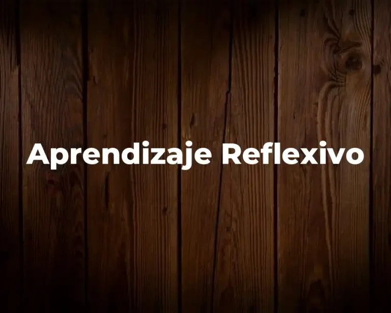 Aprendizaje Reflexivo