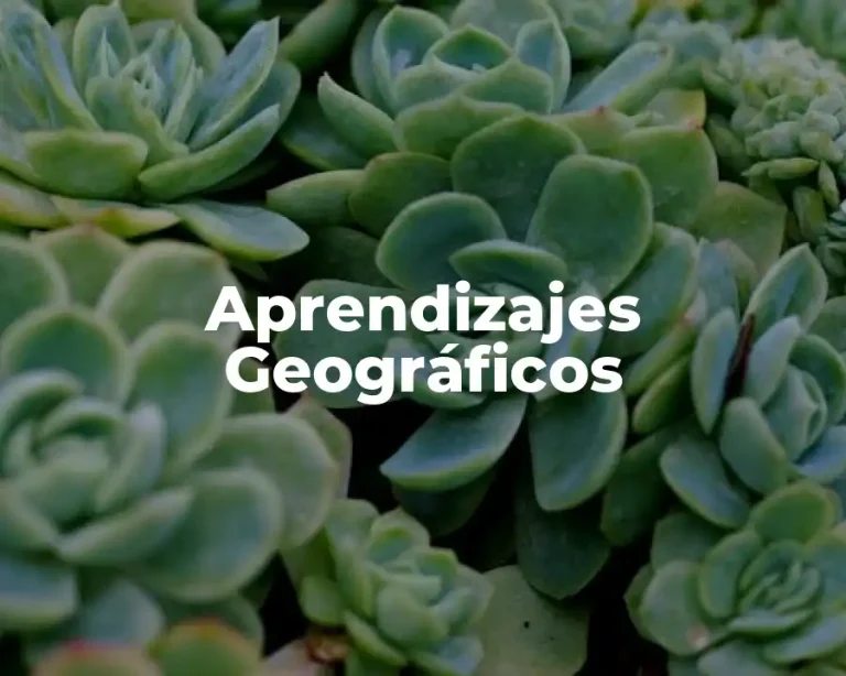 Aprendizajes Geográficos