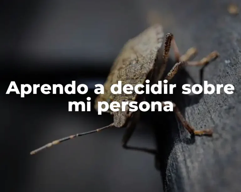 Aprendo a decidir sobre mi persona