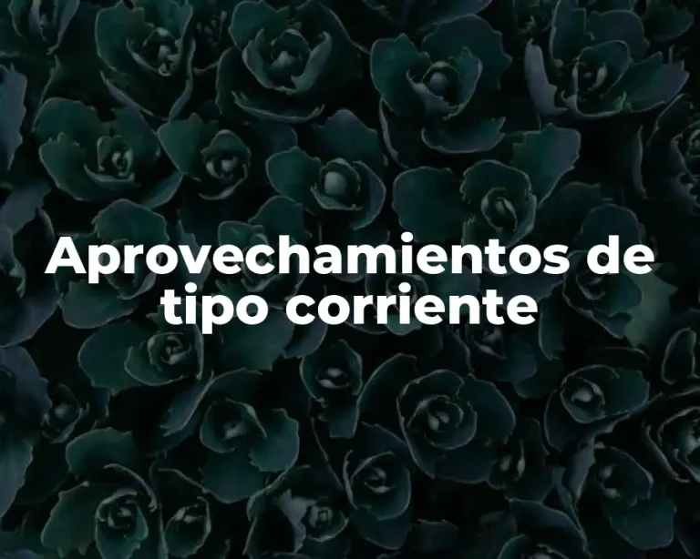 Aprovechamientos de tipo corriente