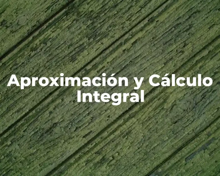 Aproximación y Cálculo Integral