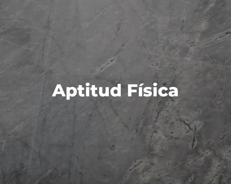 Aptitud Física