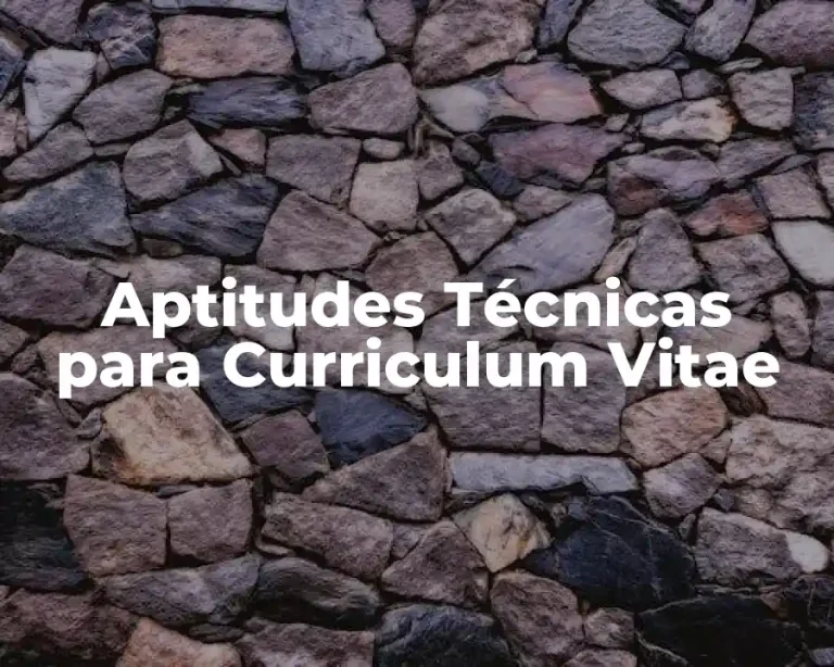 Aptitudes Técnicas para Curriculum Vitae