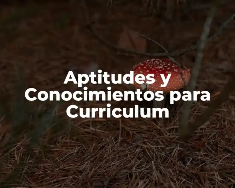 Aptitudes y Conocimientos para Curriculum