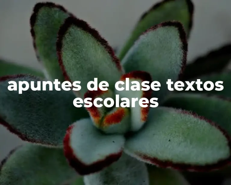 apuntes de clase textos escolares