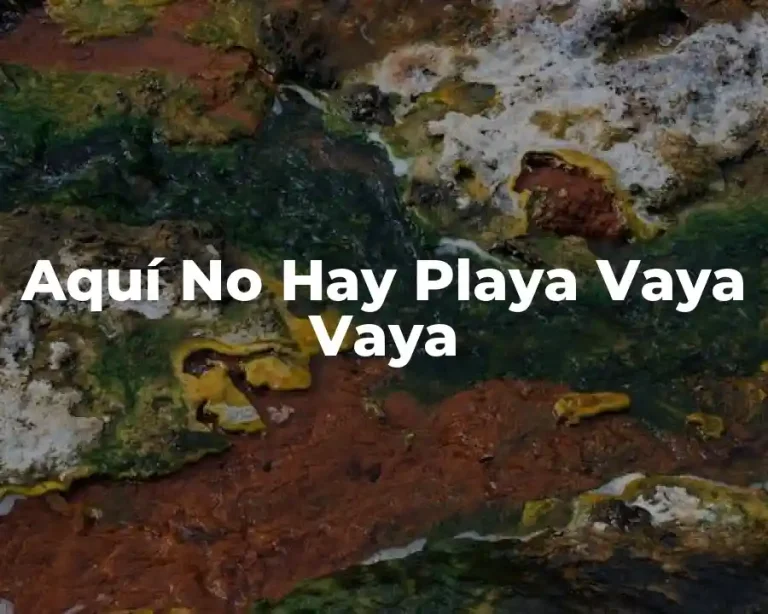 Aquí No Hay Playa Vaya Vaya