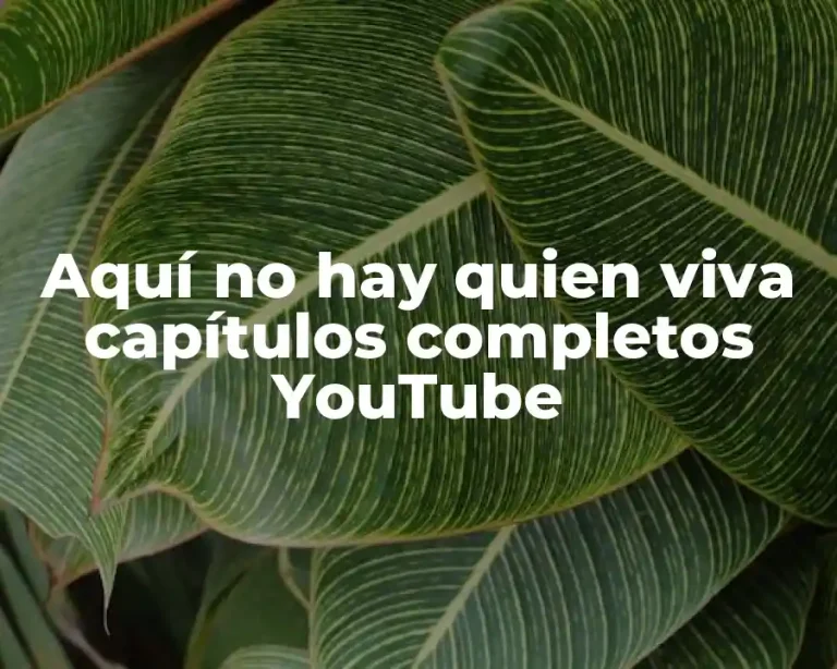 Aquí no hay quien viva capítulos completos YouTube