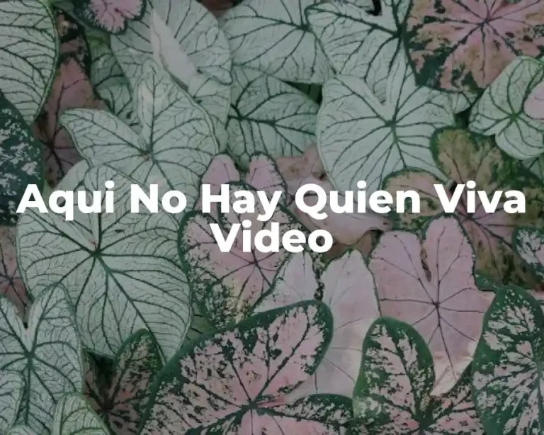 Aqui No Hay Quien Viva Video