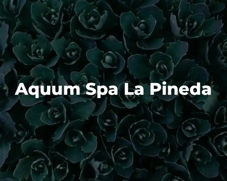 Aquum Spa La Pineda
