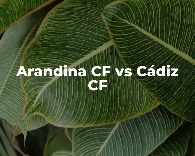 Arandina CF vs Cádiz CF