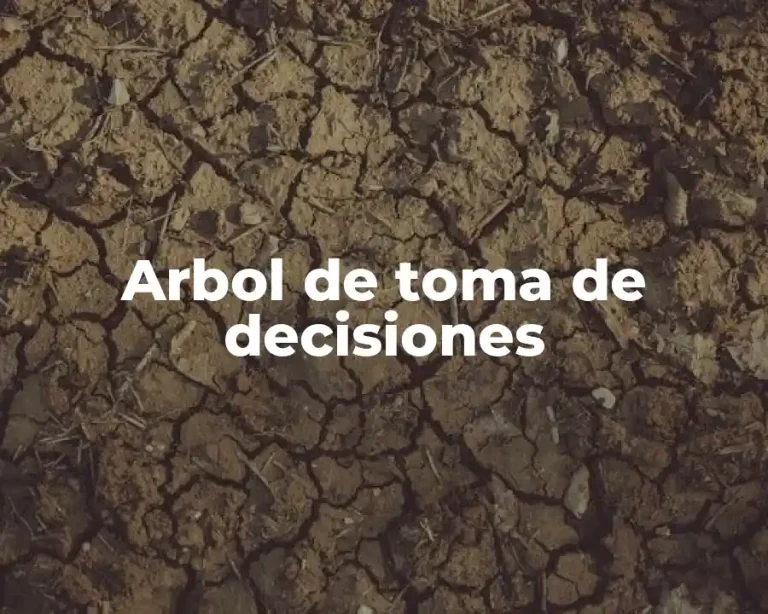 Arbol de toma de decisiones