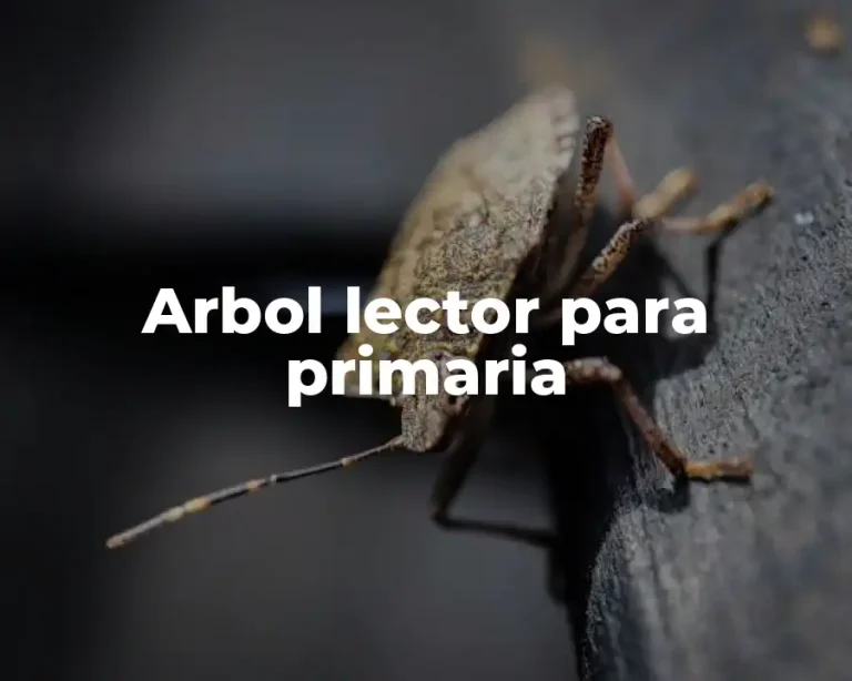 Arbol lector para primaria