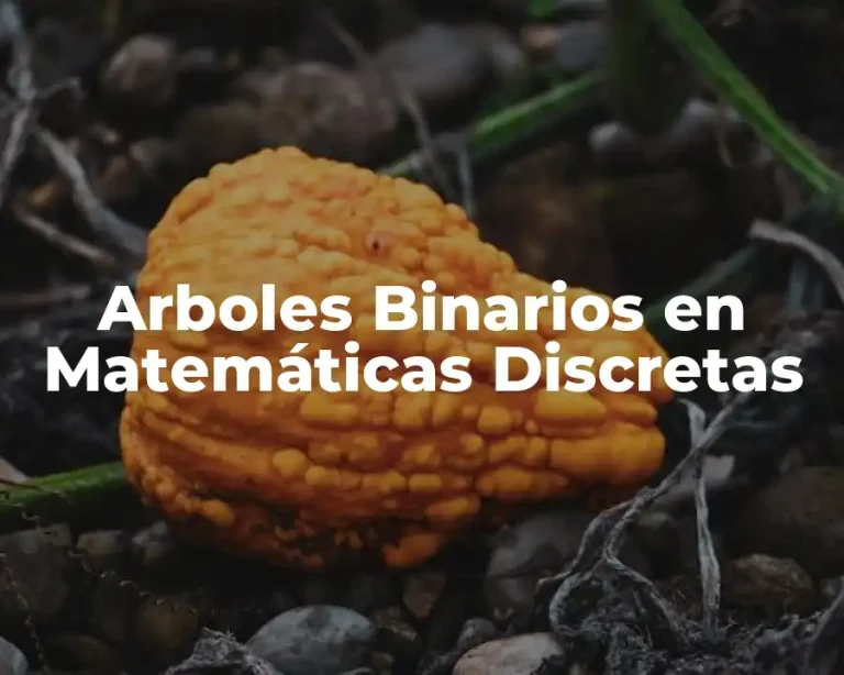 Arboles Binarios en Matemáticas Discretas