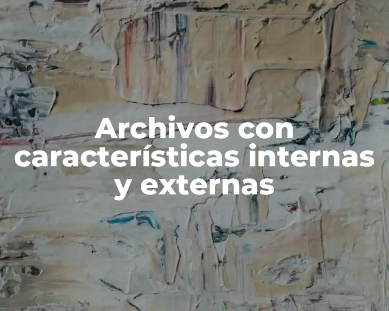 Archivos con características internas y externas
