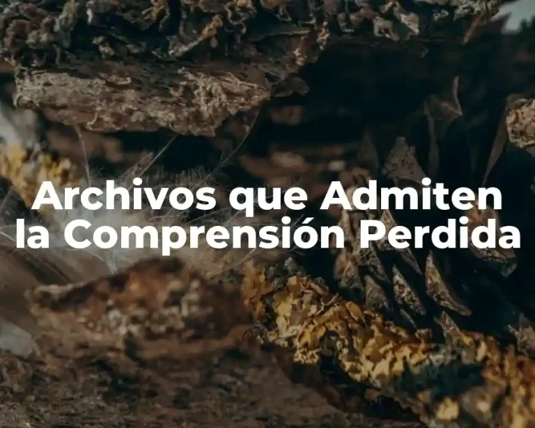Archivos que Admiten la Comprensión Perdida