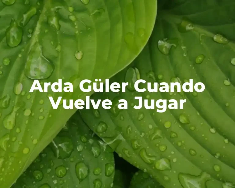 Arda Güler Cuando Vuelve a Jugar