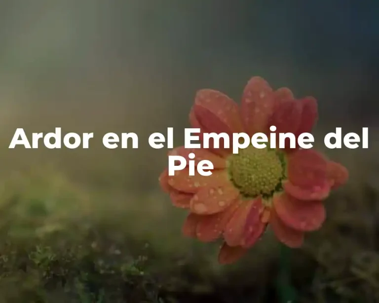 Ardor en el Empeine del Pie