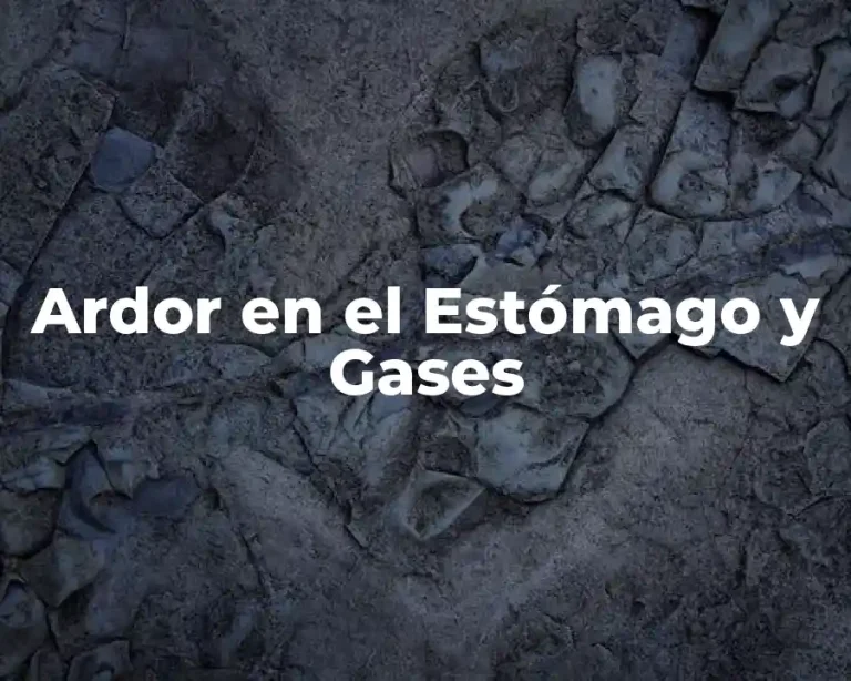 Ardor en el Estómago y Gases