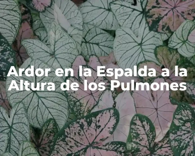 Ardor en la Espalda a la Altura de los Pulmones