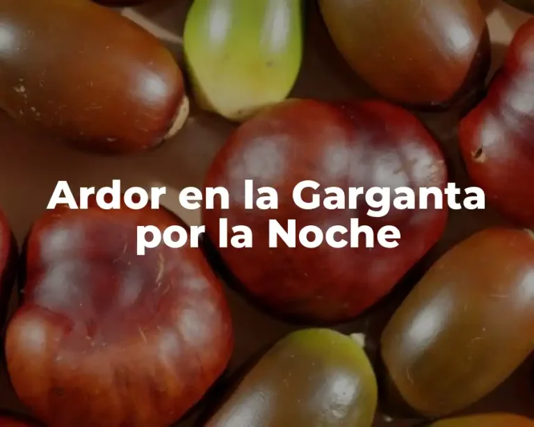 Ardor en la Garganta por la Noche