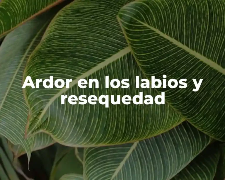 Ardor en los labios y resequedad