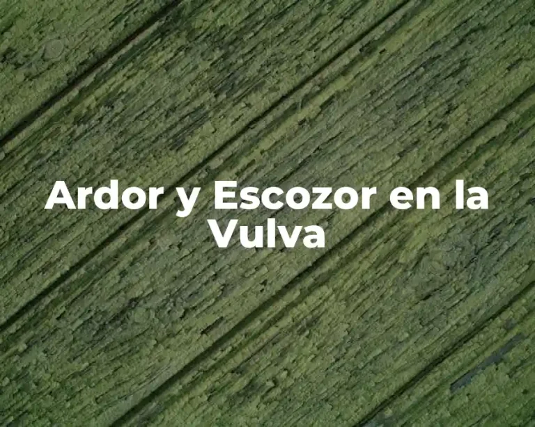 Ardor y Escozor en la Vulva