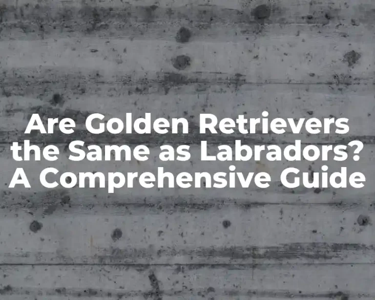 Are Golden Retrievers the Same as Labradors? A Comprehensive Guide