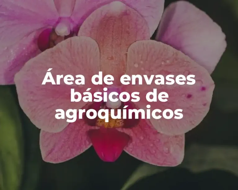 Área de envases básicos de agroquímicos