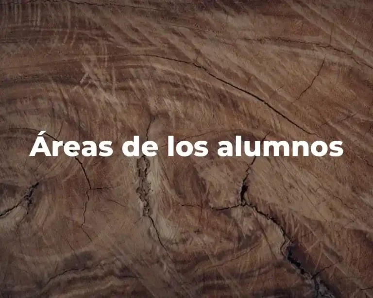 Áreas de los alumnos