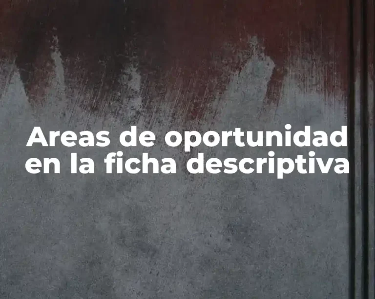 Areas de oportunidad en la ficha descriptiva