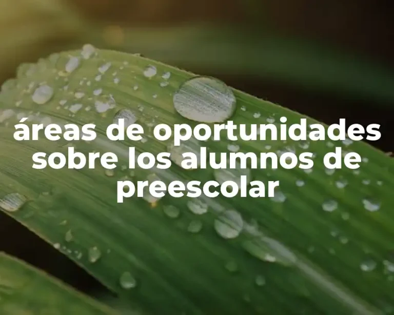 áreas de oportunidades sobre los alumnos de preescolar