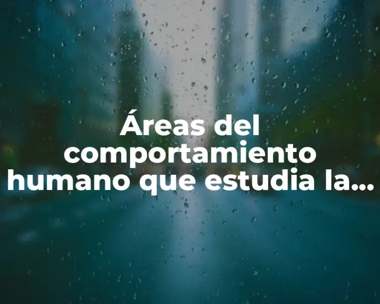 Áreas del comportamiento humano que estudia la ética