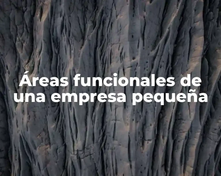 Áreas funcionales de una empresa pequeña