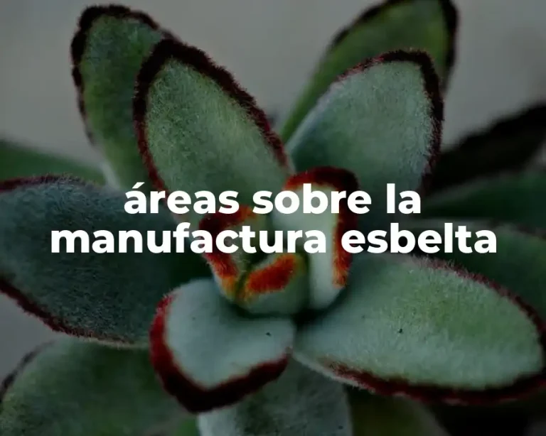 áreas sobre la manufactura esbelta