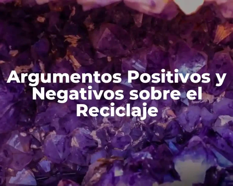 Argumentos Positivos y Negativos sobre el Reciclaje