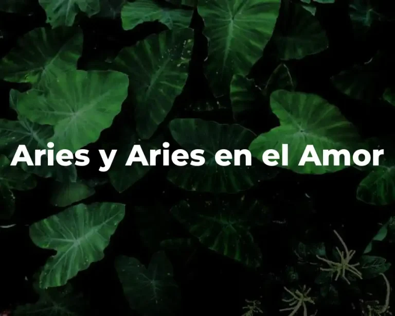 Aries y Aries en el Amor