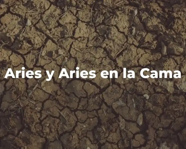 Aries y Aries en la Cama
