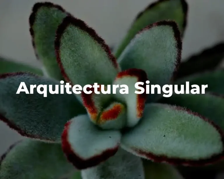 Arquitectura Singular