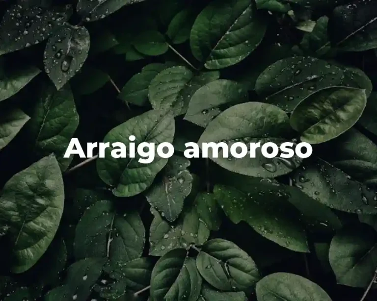 Arraigo amoroso