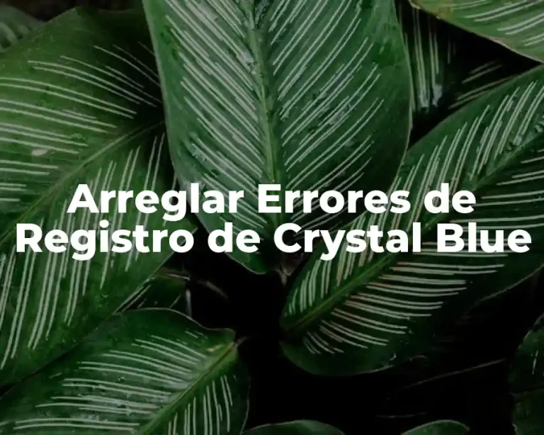 Arreglar Errores de Registro de Crystal Blue