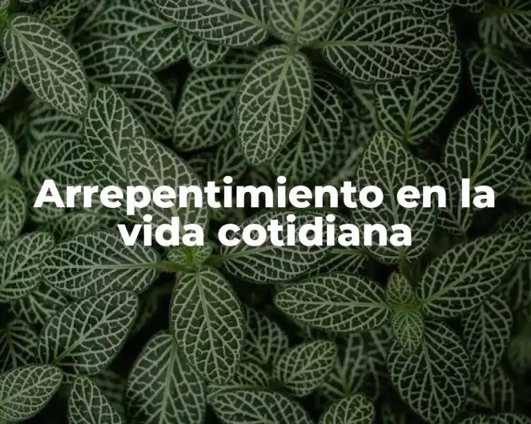Arrepentimiento en la vida cotidiana