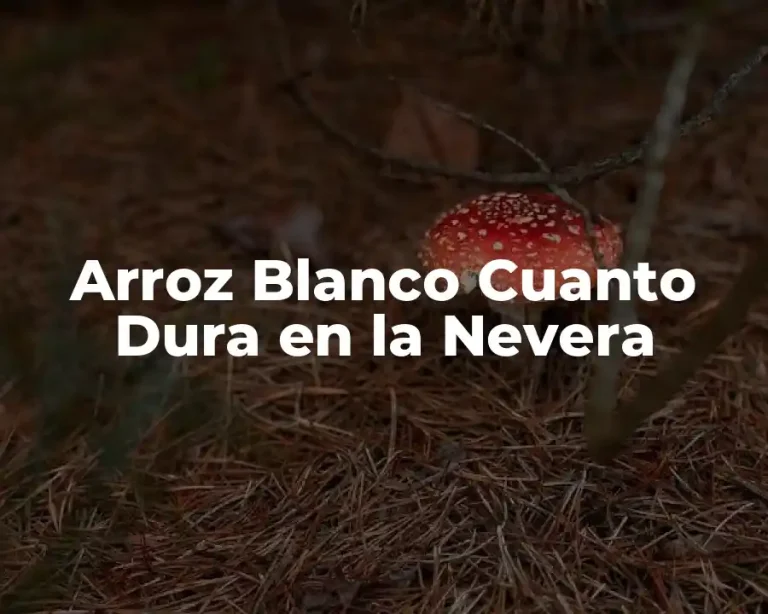Arroz Blanco Cuanto Dura en la Nevera