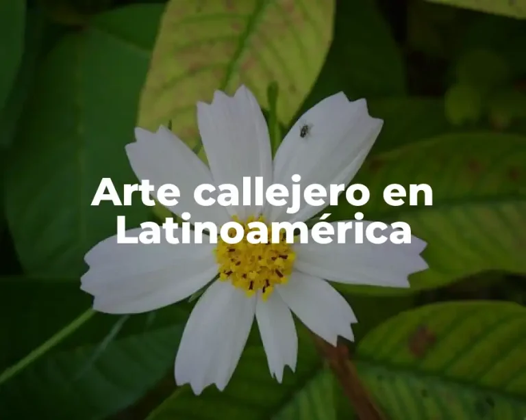 Arte callejero en Latinoamérica