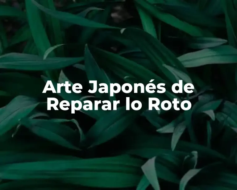 Arte Japonés de Reparar lo Roto