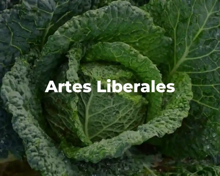 Artes Liberales