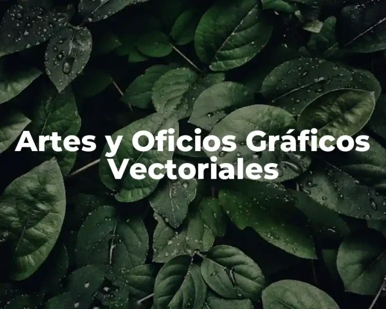Artes y Oficios Gráficos Vectoriales