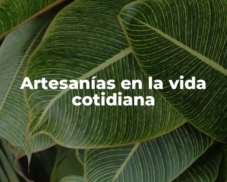 Artesanías en la vida cotidiana