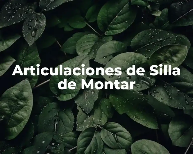 Articulaciones de Silla de Montar